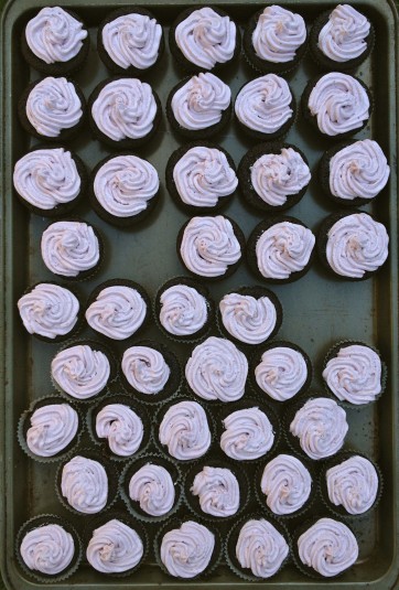 chocolateblackberrycupcakestray chocolate blackberry cupcakes